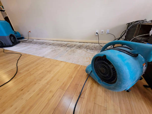 Professional Water Damage Repair technician working in Fayville, MA